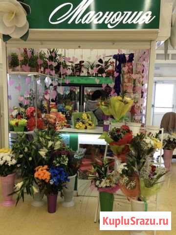 Готовый цветочный бизнес Муром - изображение 1