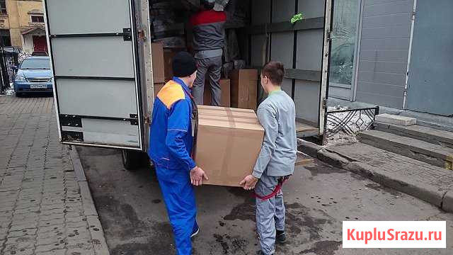 Грузчики. Грузоперевозки Вывоз мусора Новосибирск - изображение 1