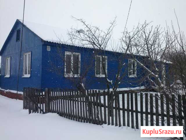 Дом 66.4 кв.м. на участке 40 сот. Добринка - изображение 1