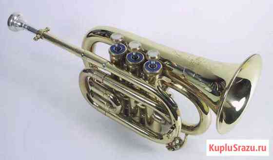 Amati kraslice pocket trumpet ATR Калининград