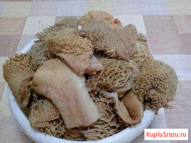 Мясо для Собак Валуйки - изображение 1