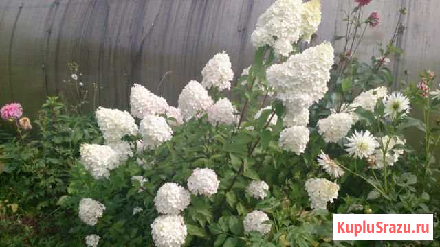  Междуреченск - изображение 1