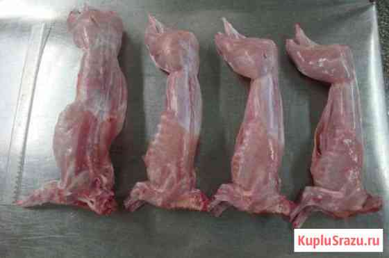 Продам тушку кролика Старый Оскол