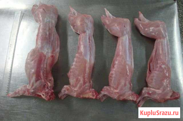 Продам тушку кролика Старый Оскол - изображение 1