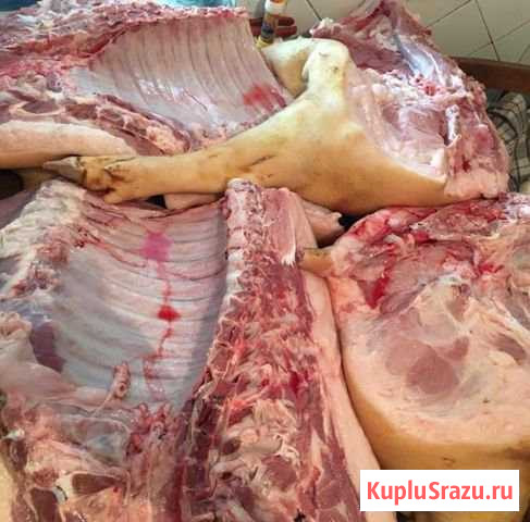 Продаём мясо - свинина Волоколамск - изображение 1