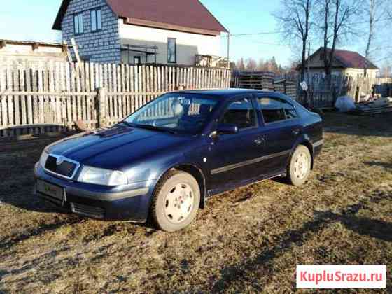 Skoda Octavia 1.6 МТ, 2001, хетчбэк Крестцы