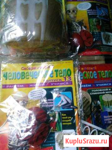 Журнал Человеческое тело Северный - изображение 1