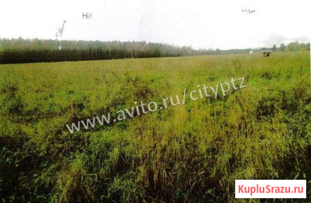  Петрозаводск - изображение 1