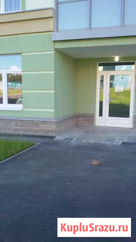 Торговое помещение, 45 кв.м. Сертолово - изображение 1