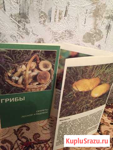 Брошюра СССР Мурманск - изображение 1