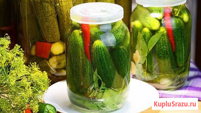 Огурцы простого посола Лебедянь - изображение 1