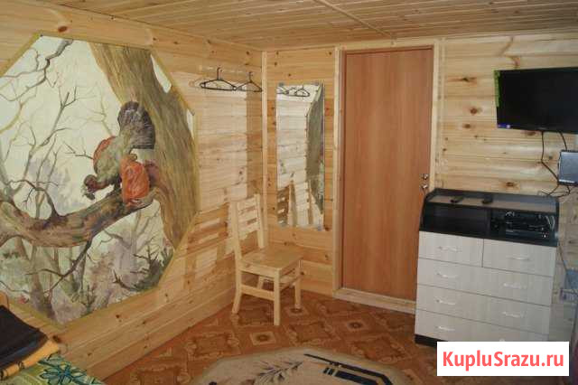 Дом 45 кв.м. на участке 1.5 га Пудож - изображение 1