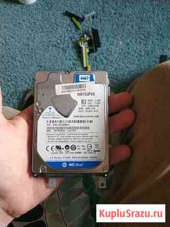 Hdd wd blue 1TB Великий Новгород