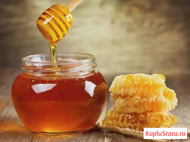 Продам Мед оптом 80р/кг Бирюч - изображение 1