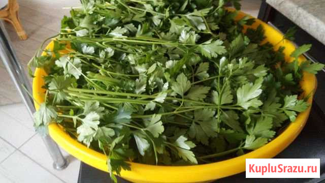 Продукт с огорода Власиха - изображение 1