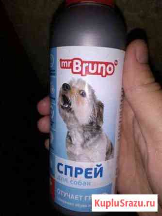 Mr. Bruno отучает грызть Волжский