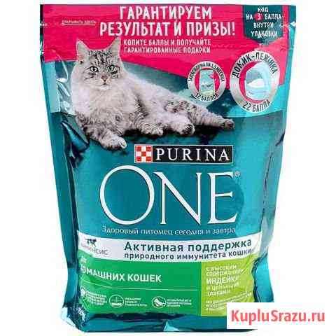 Корм Purina one сухой: для домашних котов и кошек Мурино