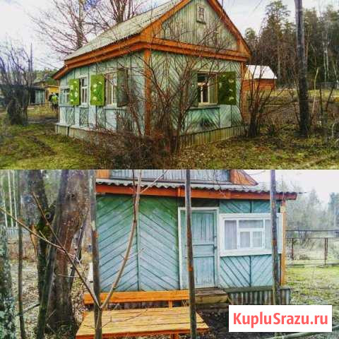 Дача 40 кв.м. на участке 6 сот. Белая Холуница - изображение 1