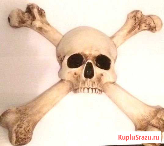 Веселый Роджер. Гипс Кемерово - изображение 1