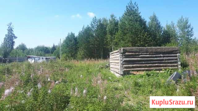  Монетный - изображение 1