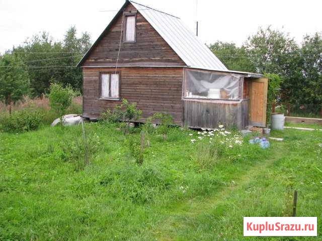 Дача 31 кв.м. на участке 6 сот. Краснозаводск - изображение 1
