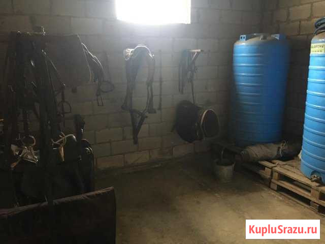 Конюшня для лошадей Черкесск - изображение 1