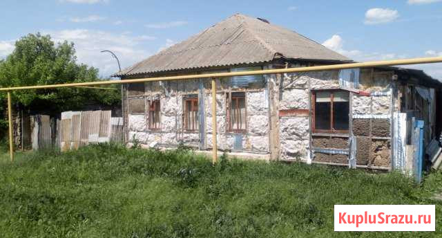 Дом 40 кв.м. на участке 26 сот. Репьевка - изображение 1