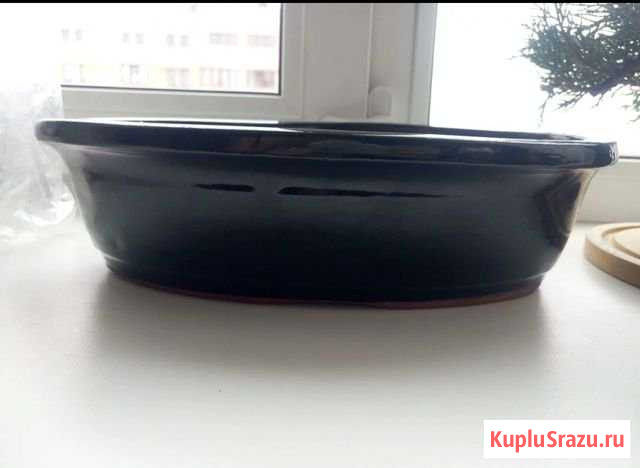 Бонсайница и керамический горшок Реутов - изображение 1