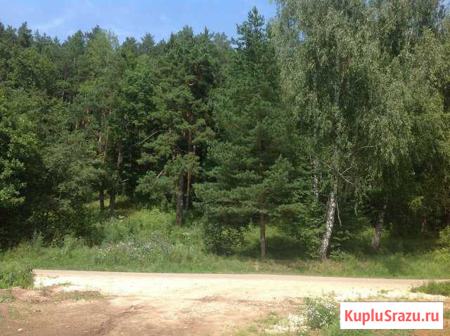  Чехов - изображение 1