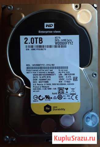 Жесткий диск WD 2Tb Смоленск - изображение 1