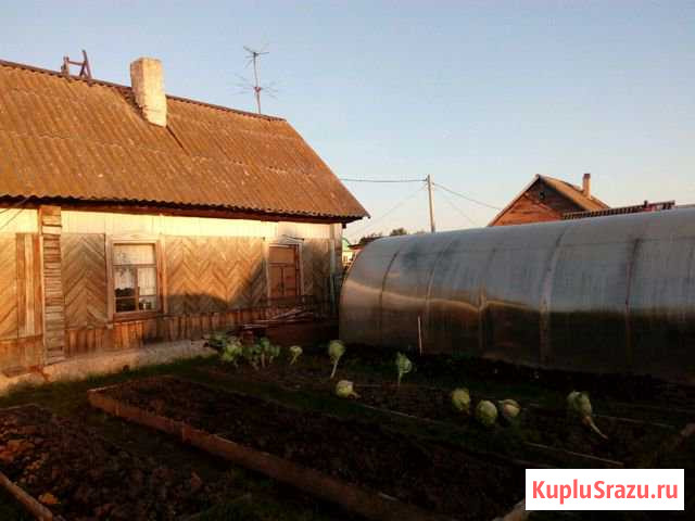 Дом 33 кв.м. на участке 6 сот. Осинники - изображение 1
