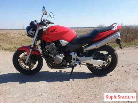 Honda hornet 900 Знаменск