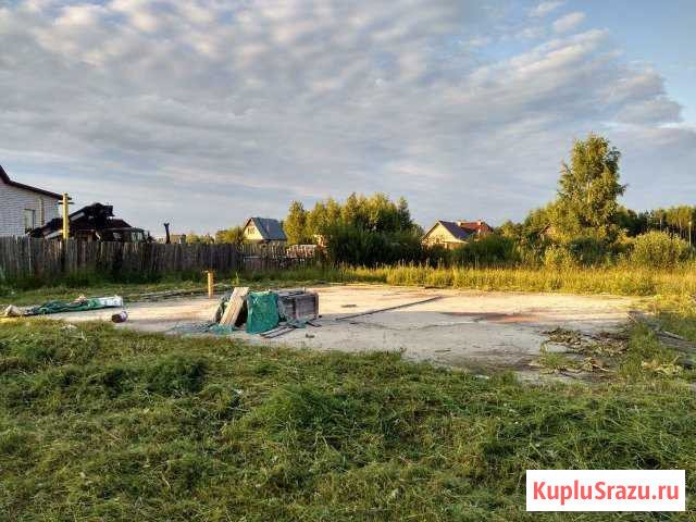  Крестцы - изображение 1