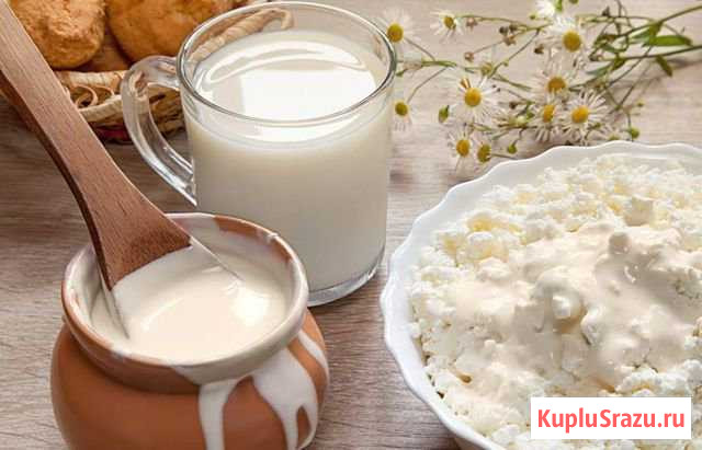 Молочная домашняя продукция Новоаннинский - изображение 1