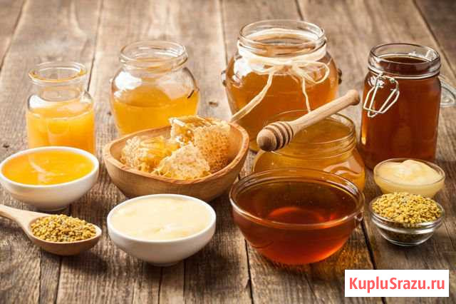 Продам мёд Нижний Кисляй - изображение 1