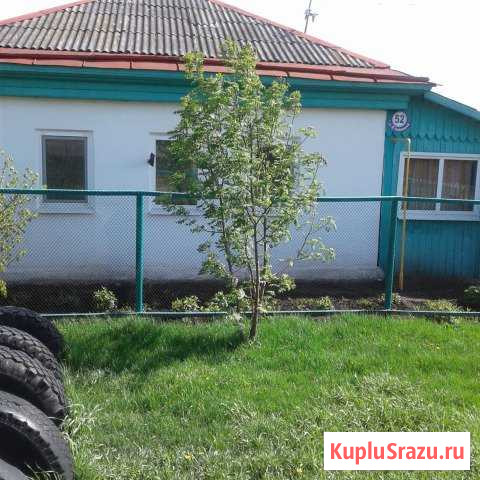 Дом 38 кв.м. на участке 12 сот. Катайск - изображение 1