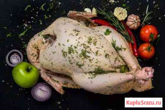 Домашняя Индейка 400/за кг Щеглово