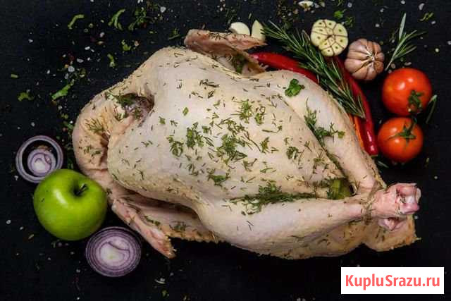 Домашняя Индейка 400/за кг Щеглово - изображение 1