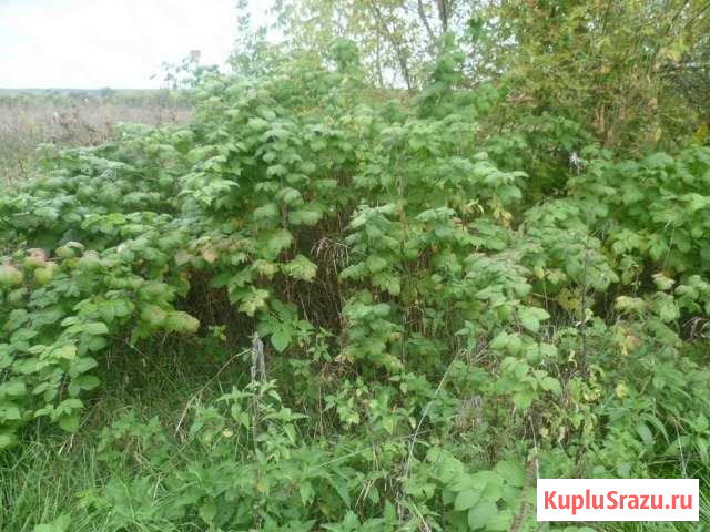  Старый Оскол - изображение 1