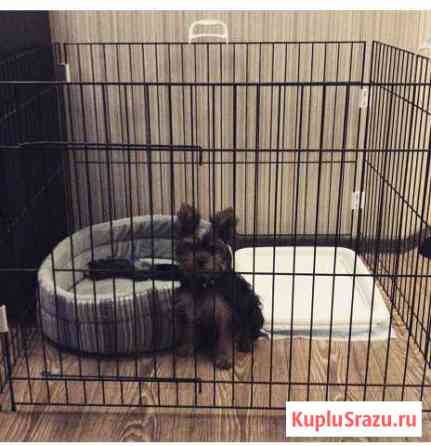 Клетка для щенят Одинцово