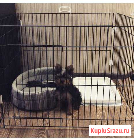 Клетка для щенят Одинцово - изображение 1