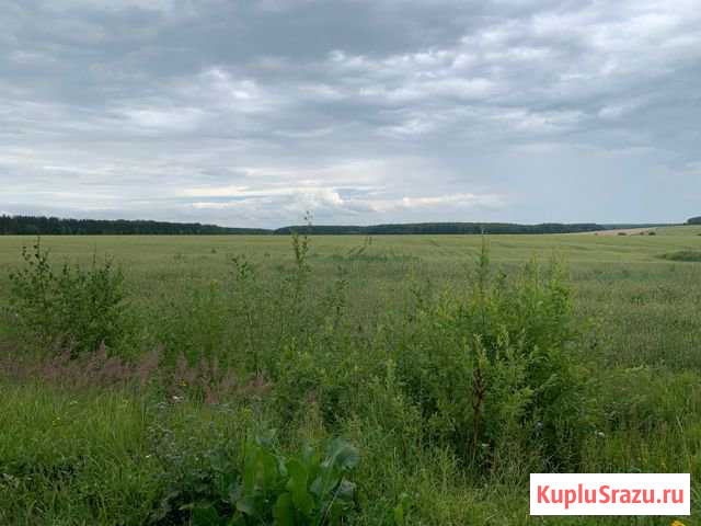  Центральный - изображение 1