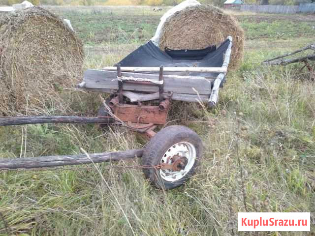 Повозка Менделеевск - изображение 1
