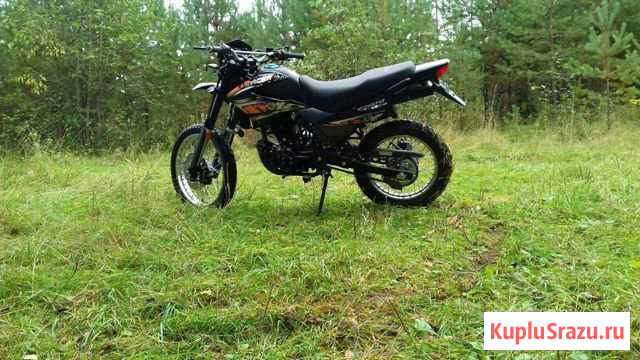 Пантера 250 Котлас - изображение 1