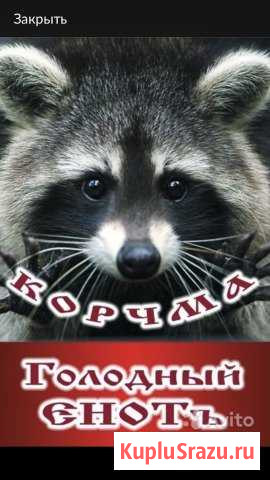 Официант Волжский - изображение 1