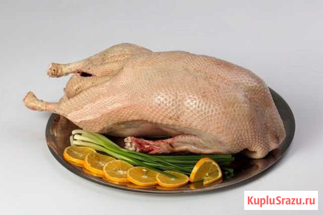 Мясо домашнего гуся Щигры - изображение 1