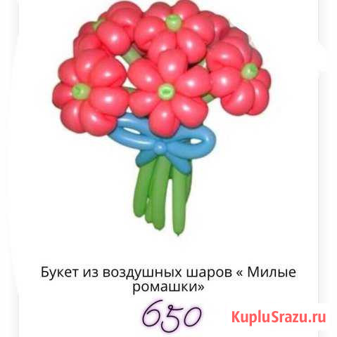 Воздушные шары Новодвинск - изображение 1
