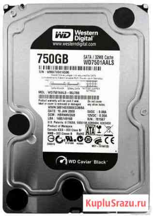 WD 750Gb SATA, для компьютера Оренбург