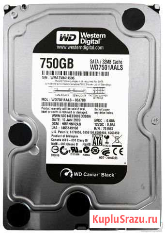 WD 750Gb SATA, для компьютера Оренбург - изображение 1