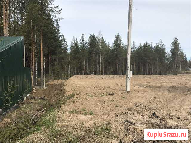  Архангельск - изображение 1